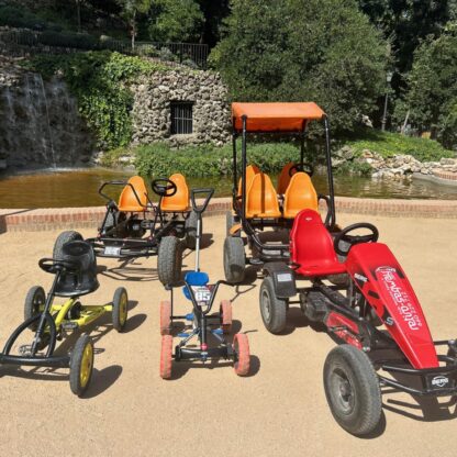 Alquiler de karts a pedales por el retiro en madrid